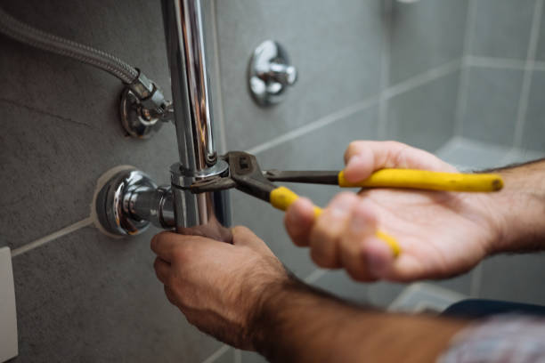 Best Plumbing Services Near Me  in Withamsville, OH